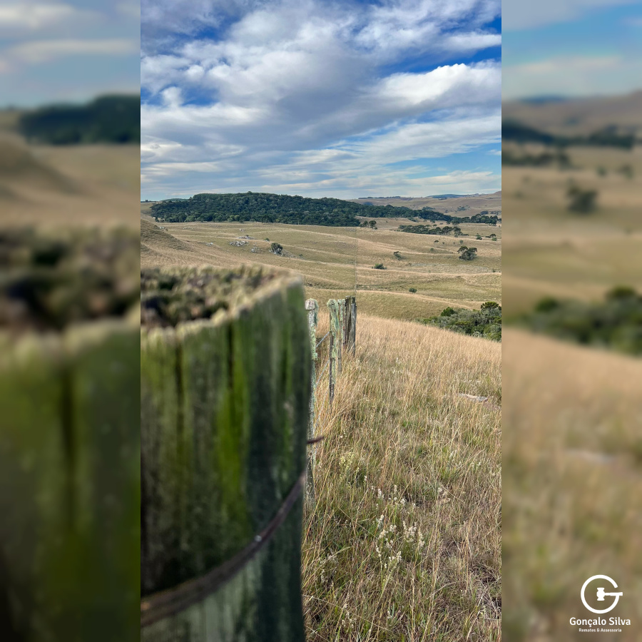 Fazenda com 211 Hectares em Jaquirana