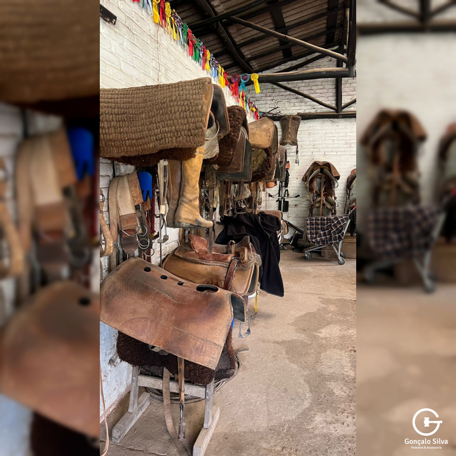 Área para Cabanha ou Centro de Treinamento