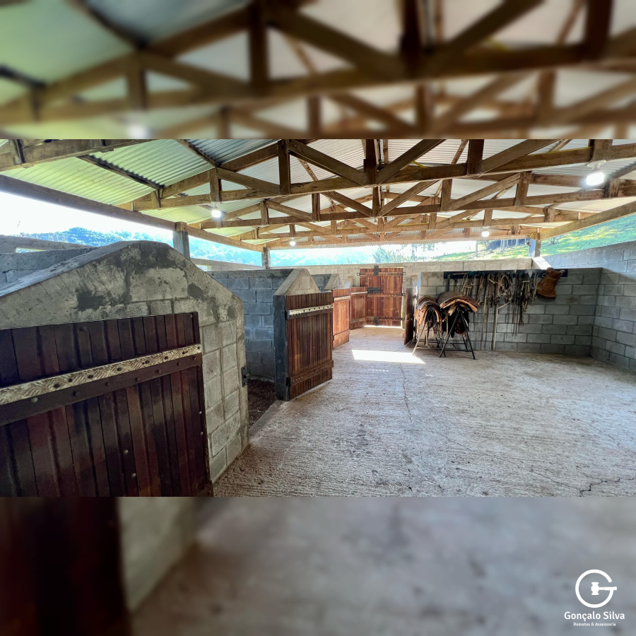 Propriedade Rural com 24 Hectares na Serra Gaúcha