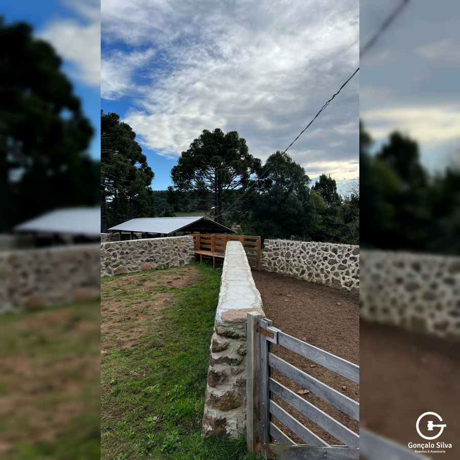Fazenda com 211 Hectares em Jaquirana