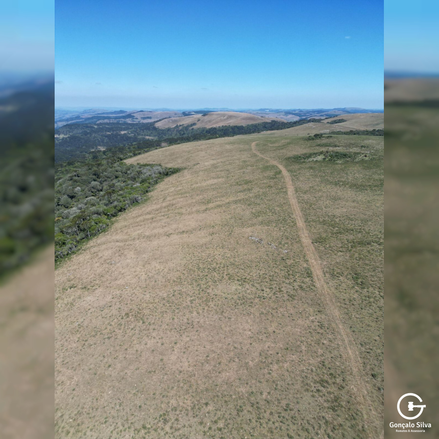 282 Hectares em Bom Jardim da Serra/SC