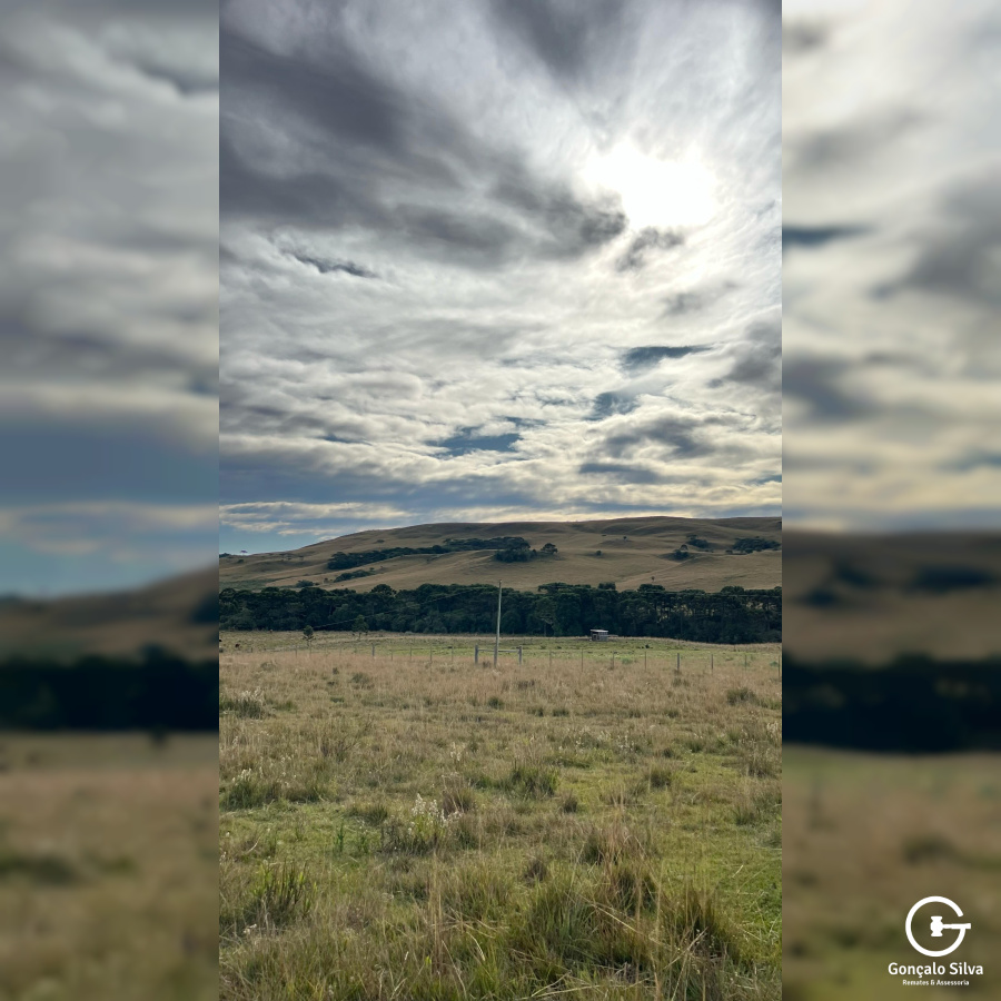 Fazenda com 211 Hectares em Jaquirana