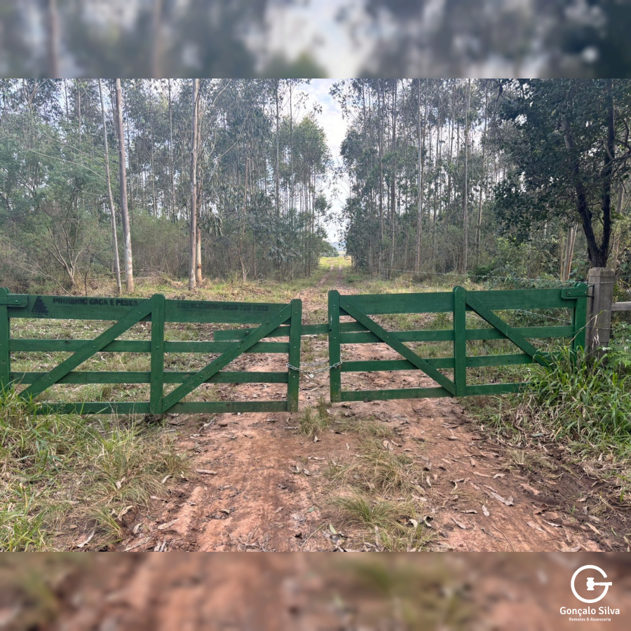 56,33 Hectares na Barra do Ribeiro/Rs