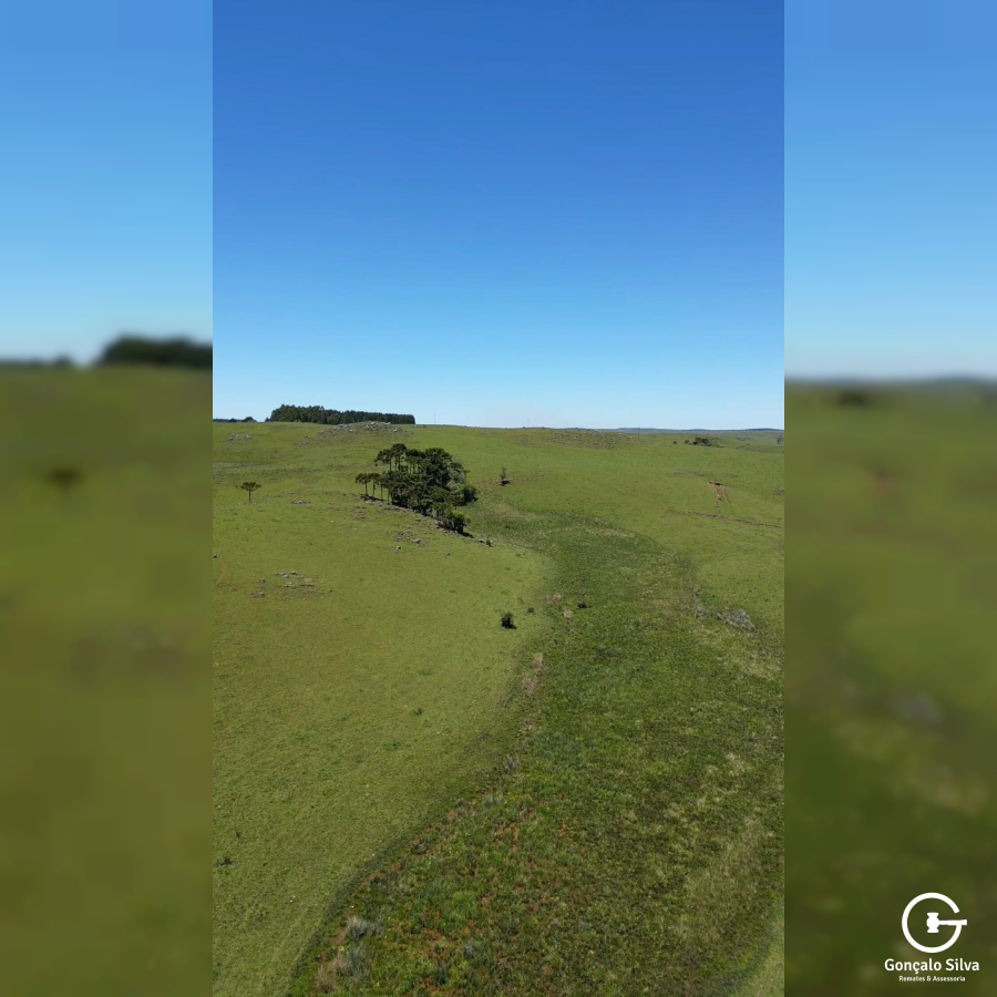 Fazenda com 211 Hectares em Jaquirana