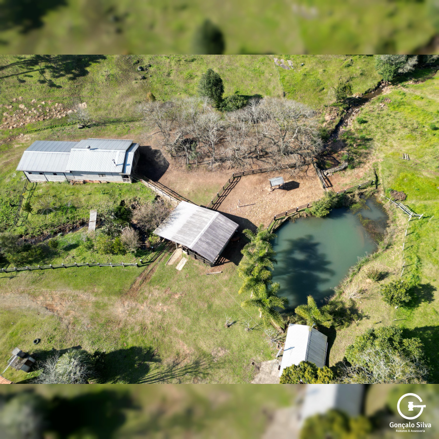 Propriedade Rural com 24 Hectares na Serra Gaúcha