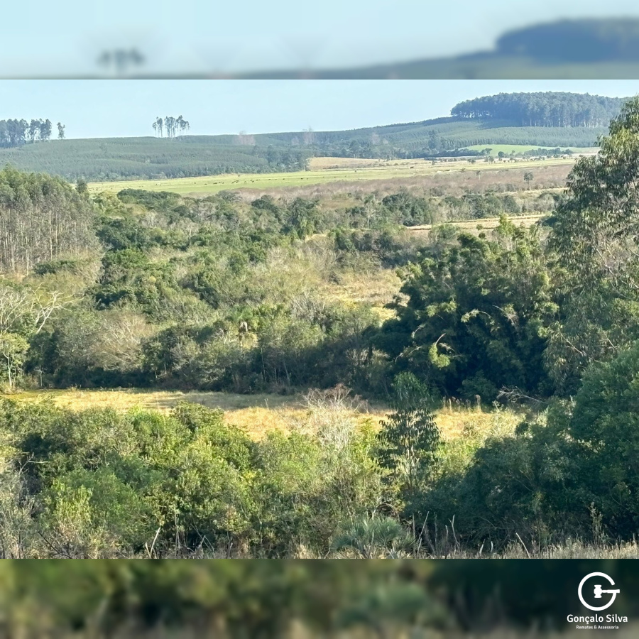 56,33 Hectares na Barra do Ribeiro/Rs
