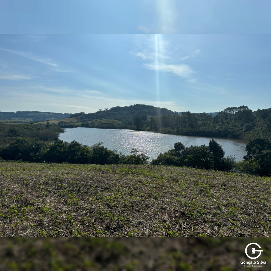 134 Hectares em Glorinha/Rs