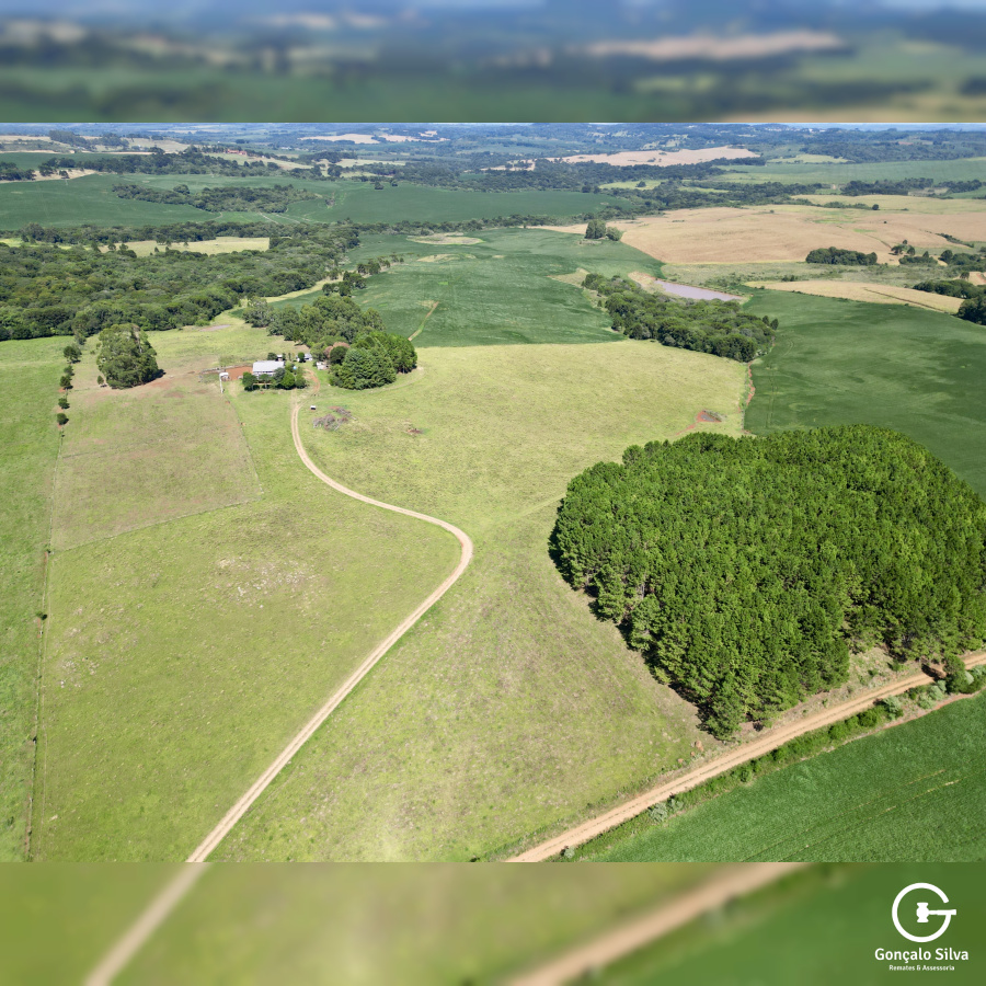 Fazenda com 93 Hectares em Muitos Capões