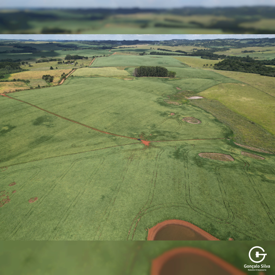Fazenda de 166 Hectares em Muitos Capões