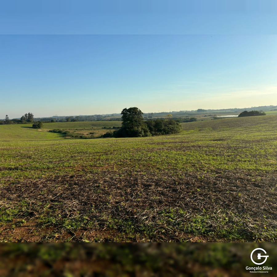 140 Hectares em Glorinha/Rs