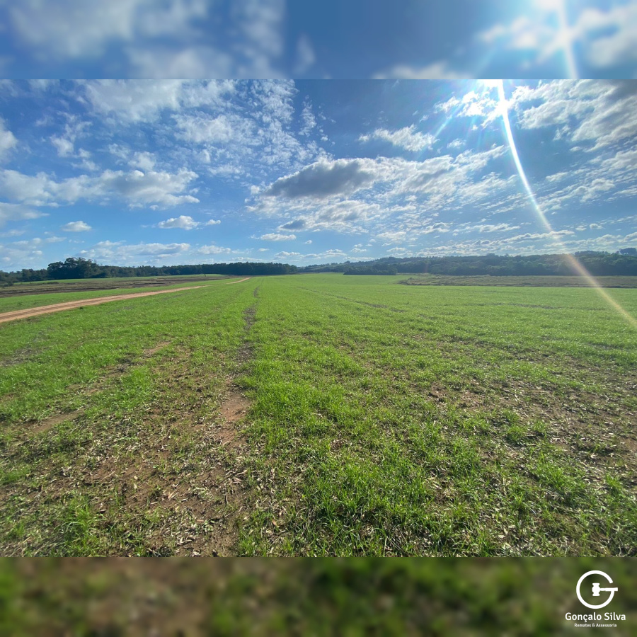 Fazenda em Eldorado do Sul - 148 hectares