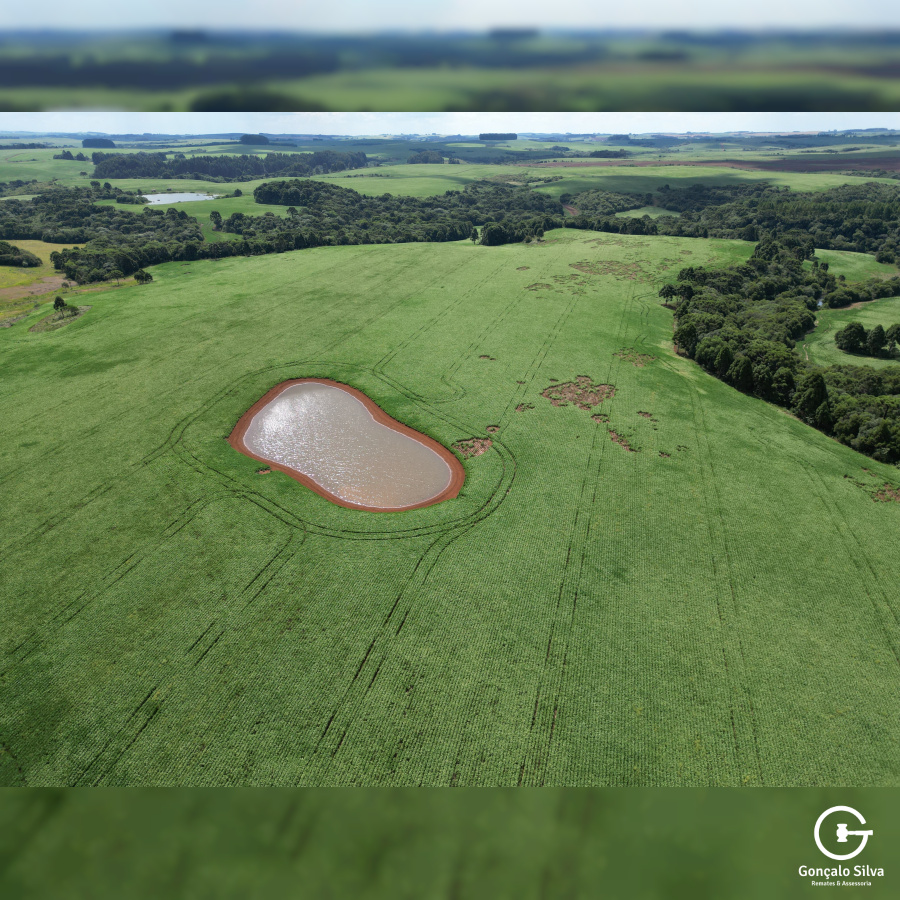 Fazenda de 166 Hectares em Muitos Capões