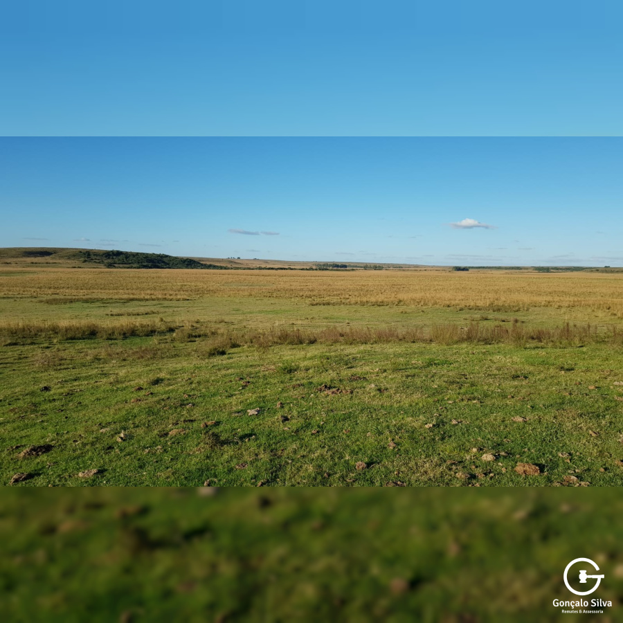 Fazenda com 759 Hectares em Rosário do Sul