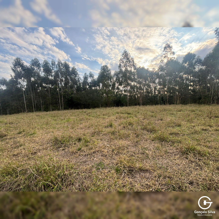 56,33 Hectares na Barra do Ribeiro/Rs