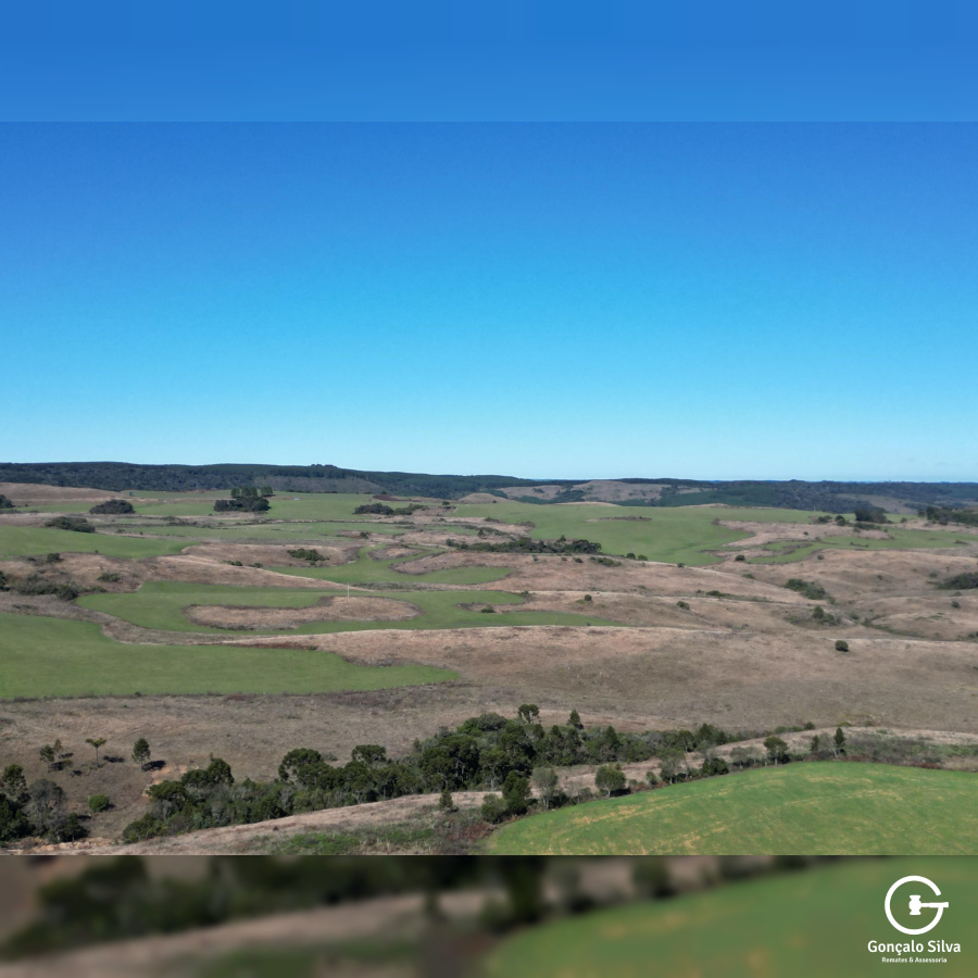 Área Rural com 535 Hectares em Santa Catarina.