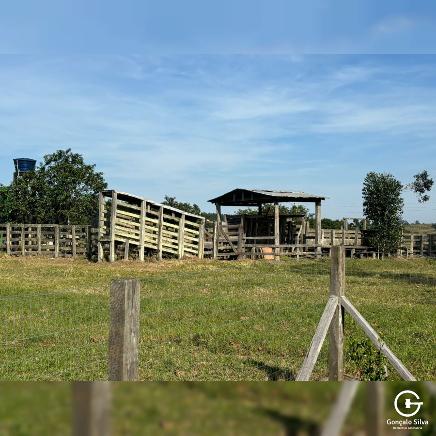 134 Hectares em Glorinha/Rs