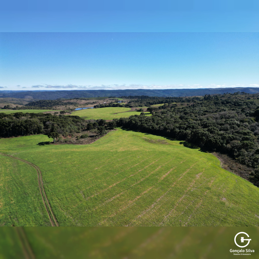 Área Rural com 535 Hectares em Santa Catarina.