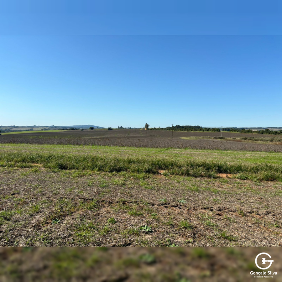 100 hectares em Butia/RS