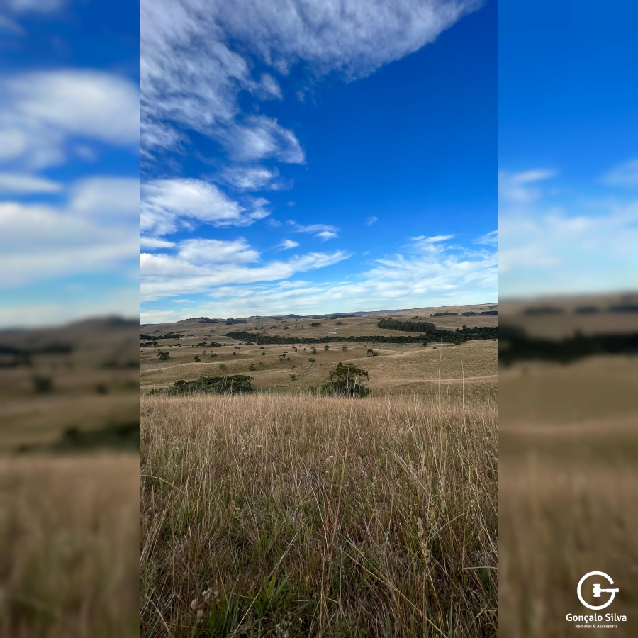 Fazenda com 211 Hectares em Jaquirana