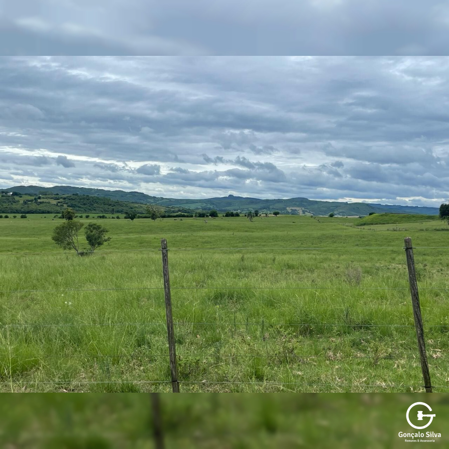 600 hectares em Pantano Grande/RS