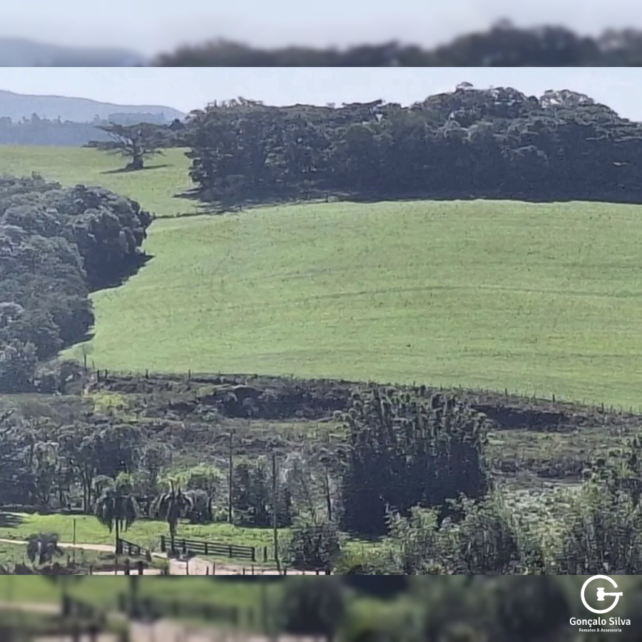 82 Hectares próximo a Porto Alegre 