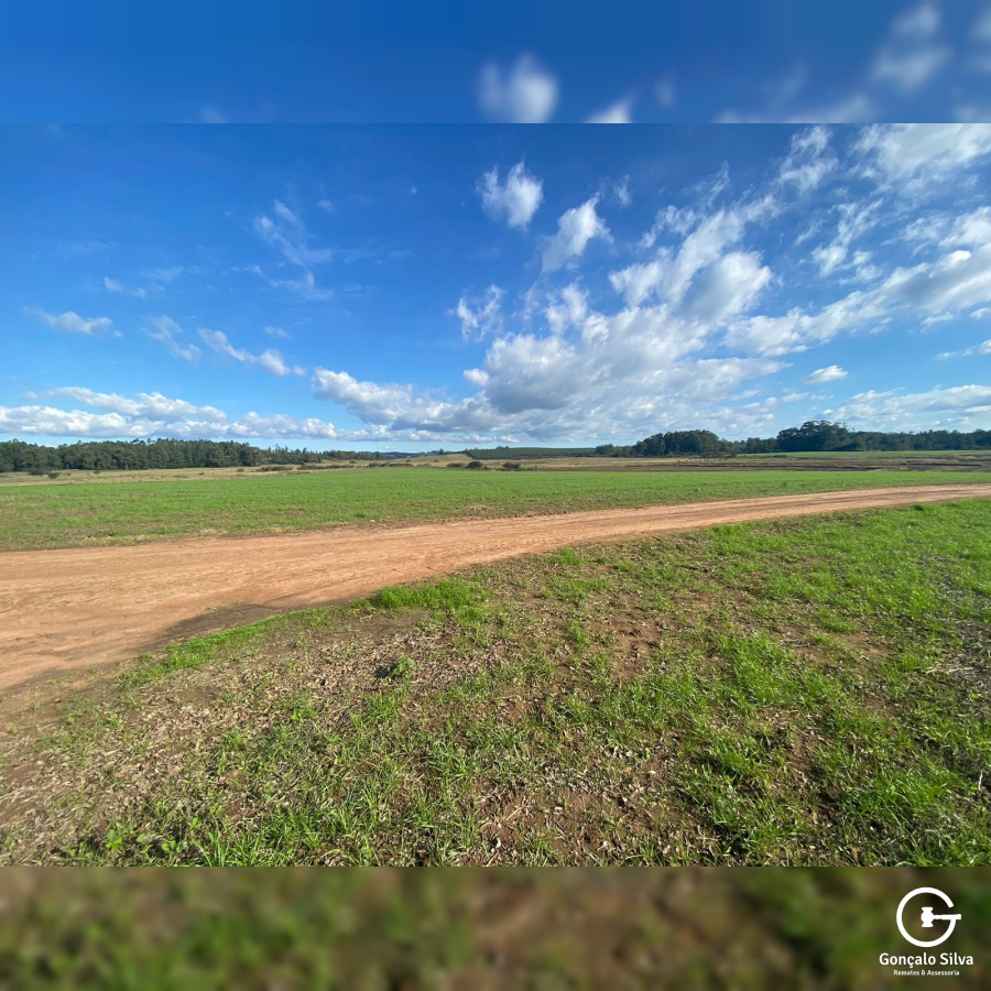 Fazenda em Eldorado do Sul - 148 hectares