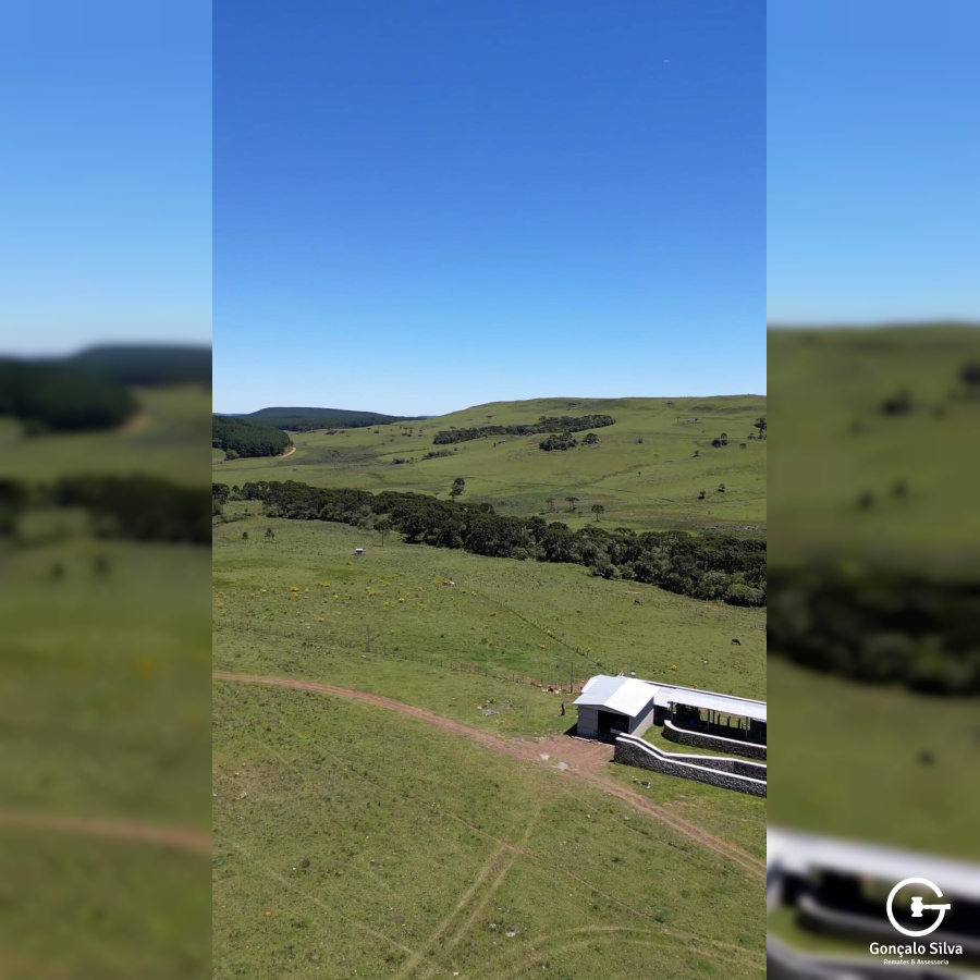 Fazenda com 211 Hectares em Jaquirana