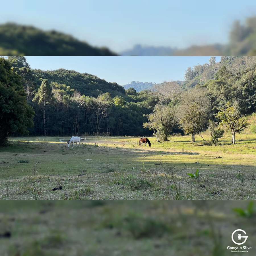 Propriedade Rural com 24 Hectares na Serra Gaúcha