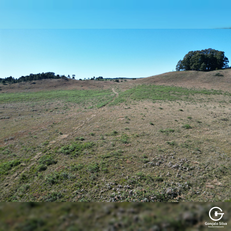 Área Rural com 535 Hectares em Santa Catarina.
