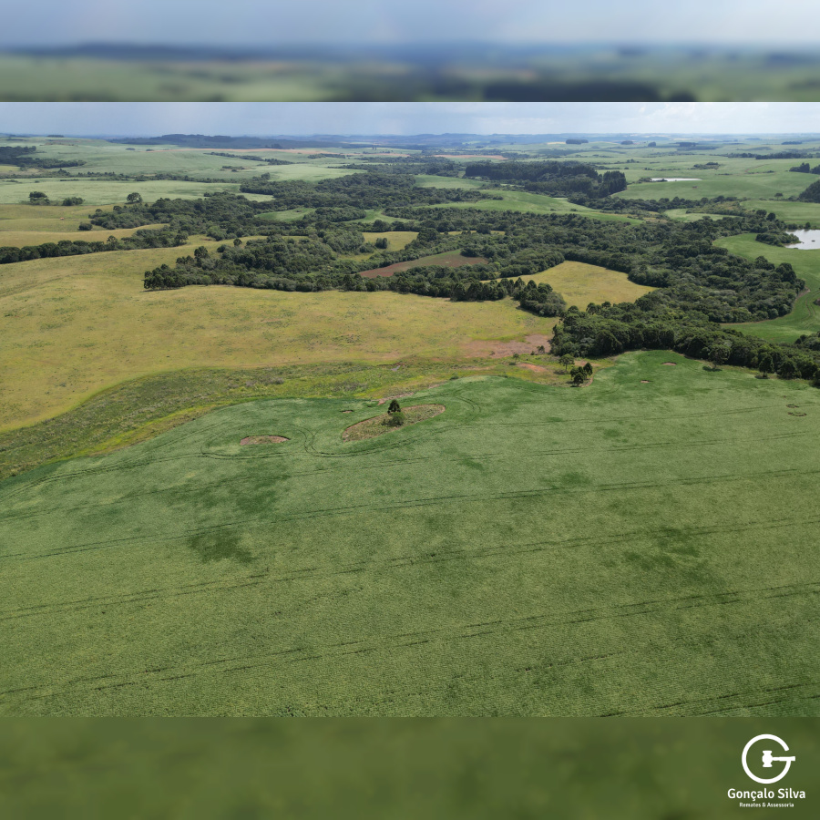 Fazenda de 166 Hectares em Muitos Capões
