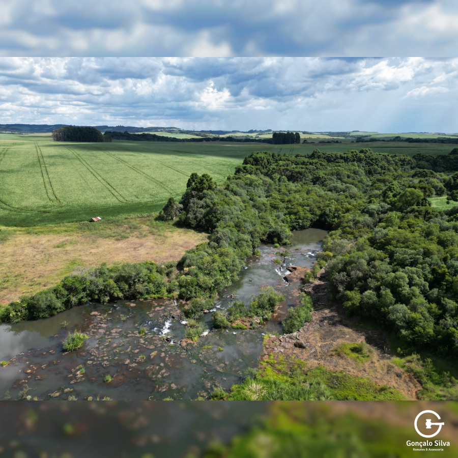 Fazenda de 166 Hectares em Muitos Capões