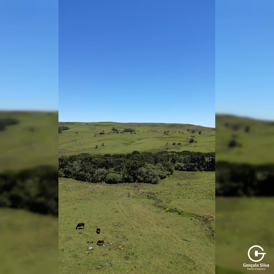 Fazenda com 211 Hectares em Jaquirana