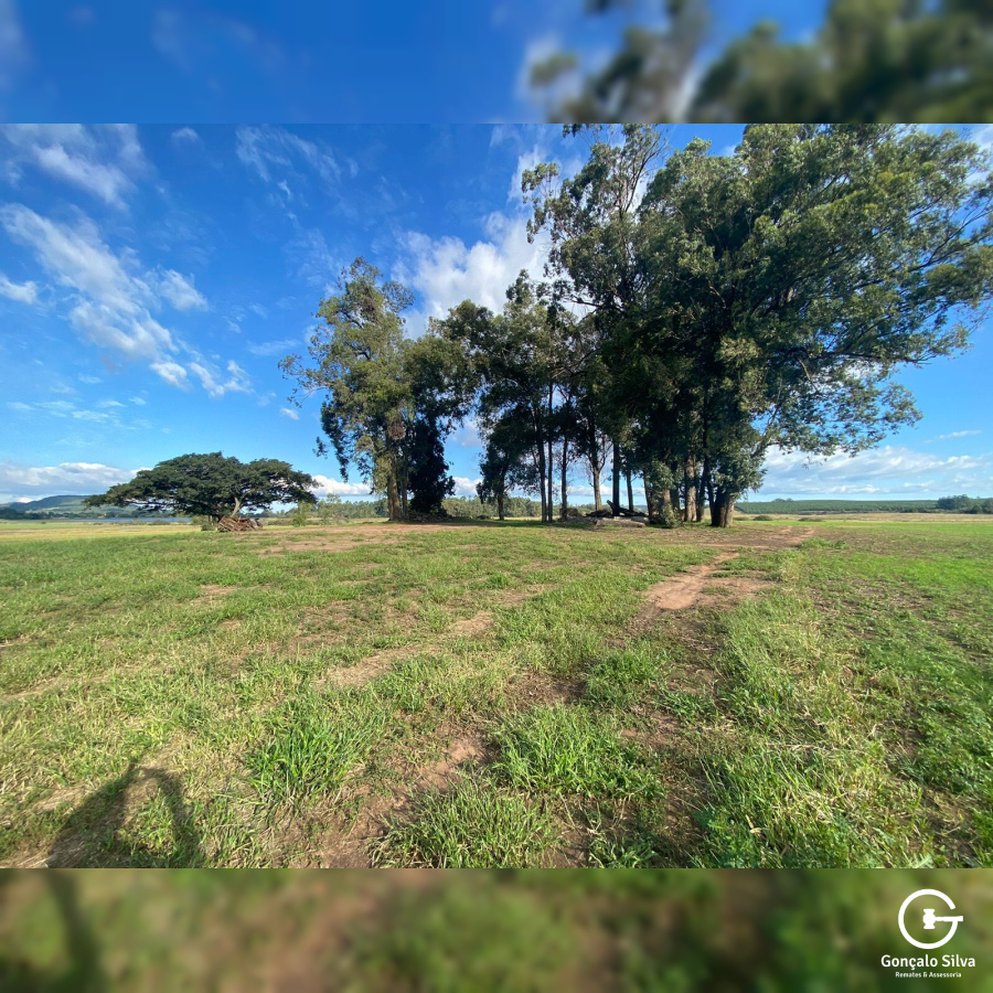 Fazenda em Eldorado do Sul - 148 hectares