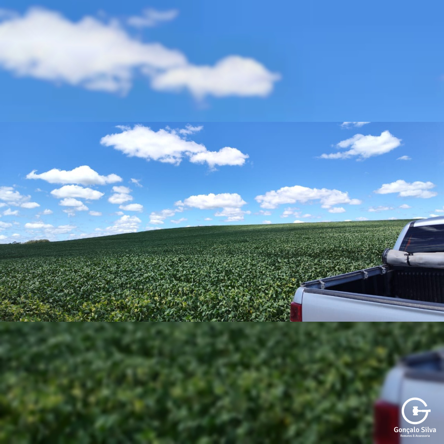 320 Hectares em Aceguá/Rs