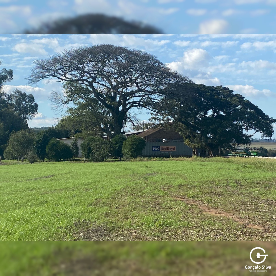 Fazenda em Eldorado do Sul - 148 hectares
