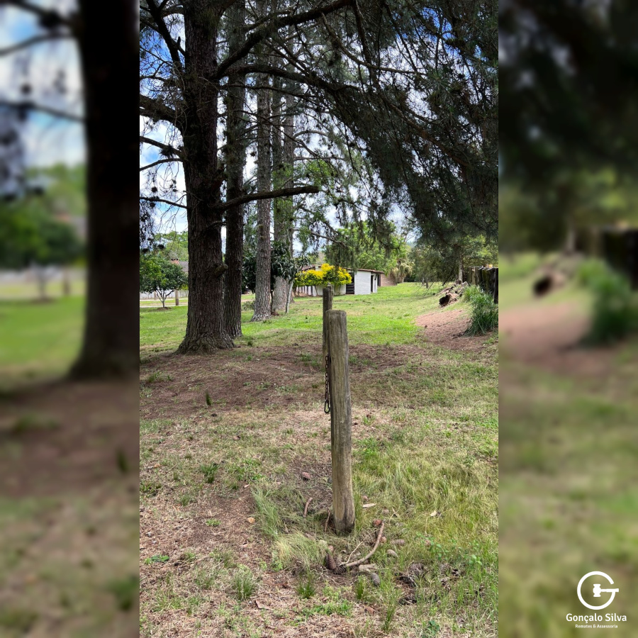 Área para Cabanha ou Centro de Treinamento