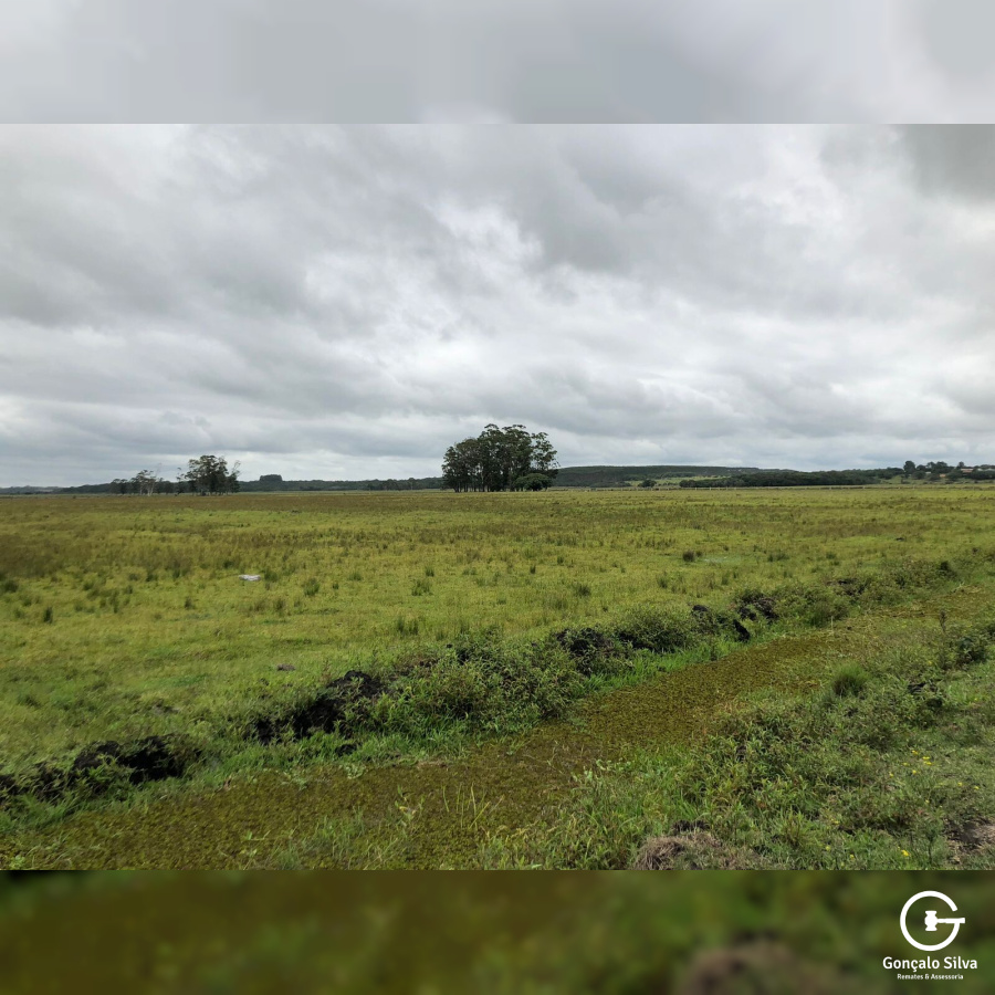 180 Hectares em Glorinha/Rs