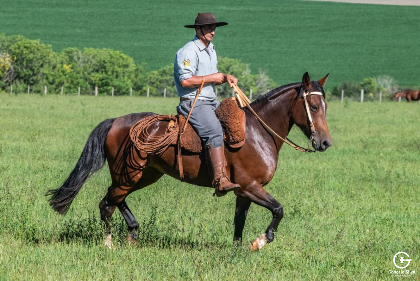  Domada e mansa  - Laço e provas Funcionais