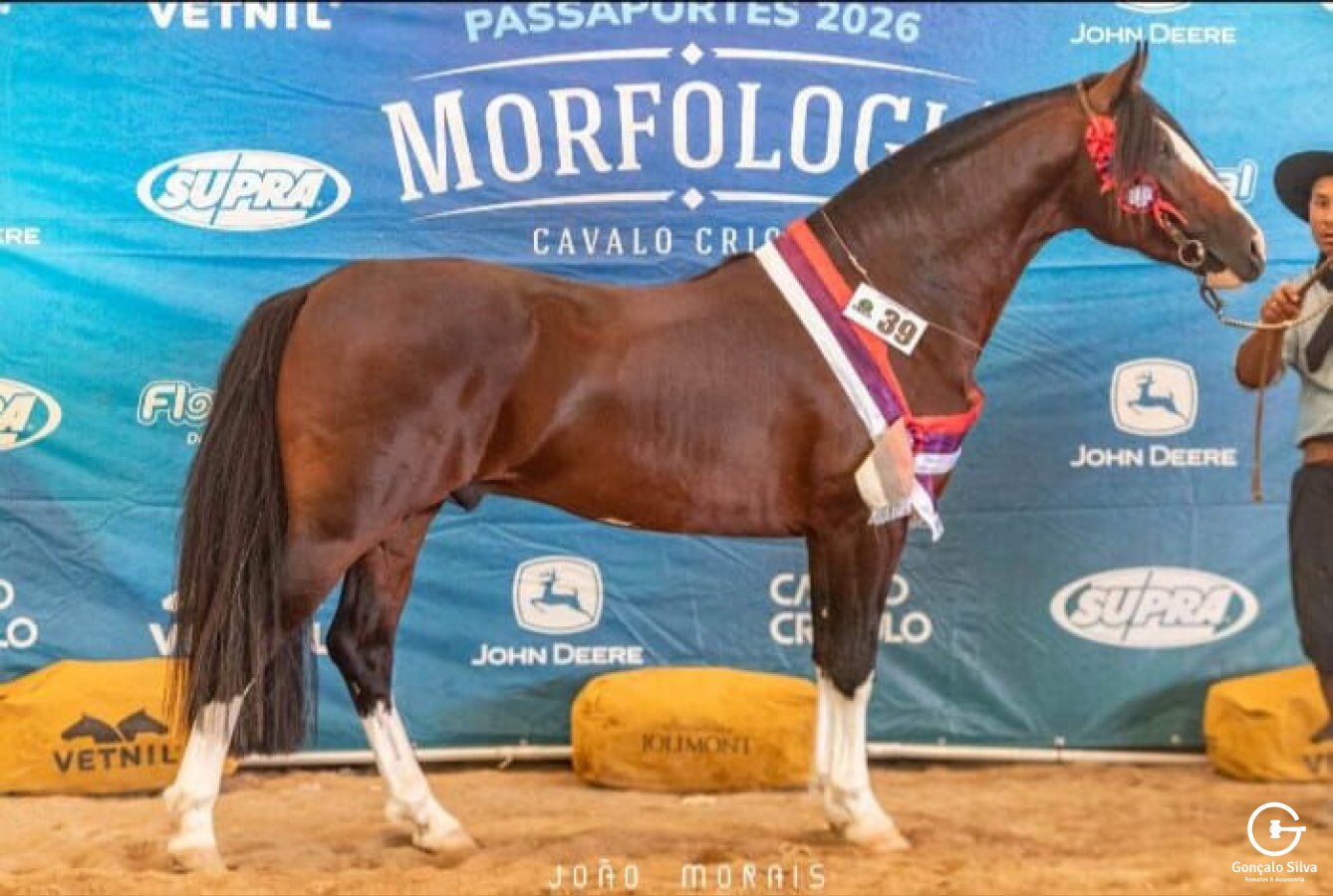 COBERTURAS PONS JAGUARI 