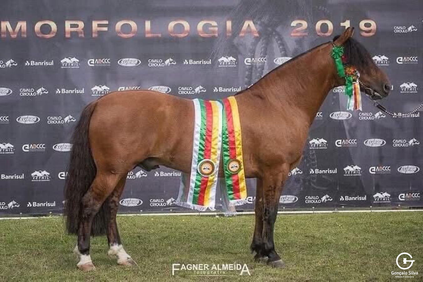 COBERTURA - MANO A MANO DO RAUNA 