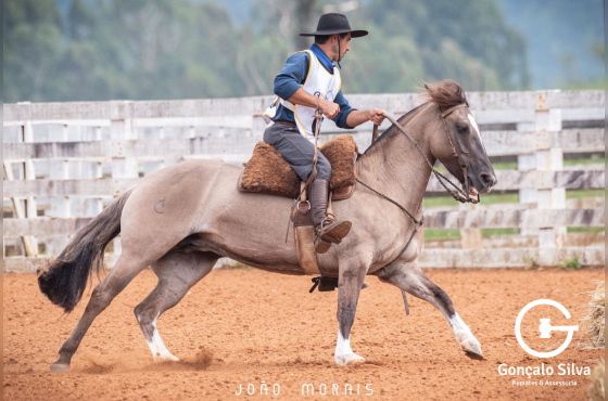 ÉGUA CRAQUE DE PALETEADA