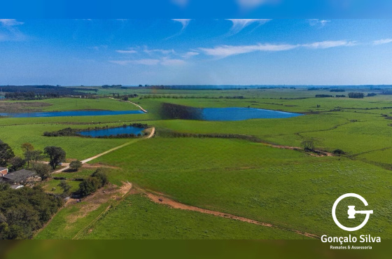 Fazenda com 900 Hectares em Candiota