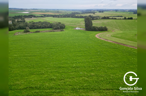 Área rural com 52 Hectares em Vacaria