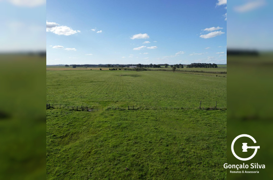 Fazenda com 150 Hectares na região do Seival
