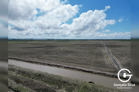 Área Rural com 132 Hectares em Tapes