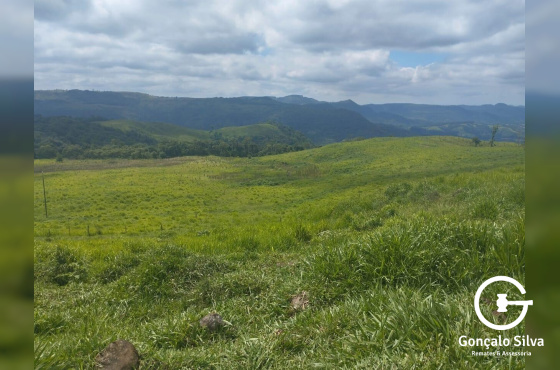 Fazenda no Paraná com 332 Hectares