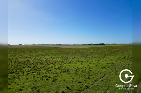 Área rural com 200 Hectares em Aceguá