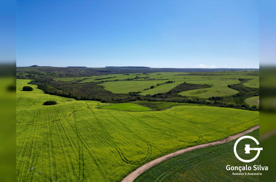Área Rural com 77 Hectares em Lavras do Sul