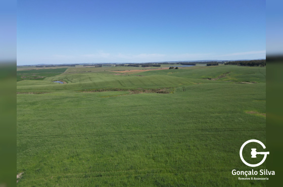 Área rural com 100 Hectares em Aceguá