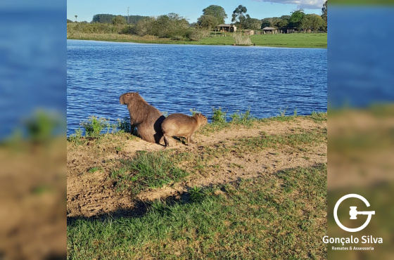 Fazenda com 98 hectares em Viamão, Águas Claras